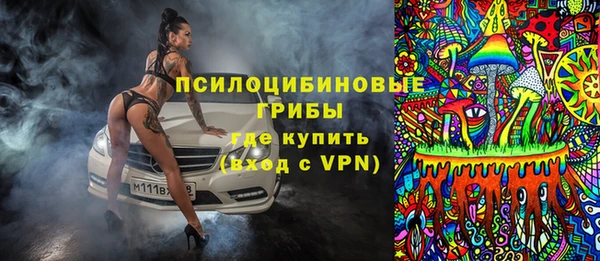 стаф Новый Уренгой