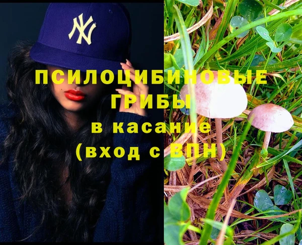 стаф Новый Уренгой