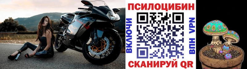 KRAKEN ссылка  Абинск  Псилоцибиновые грибы GOLDEN TEACHER 