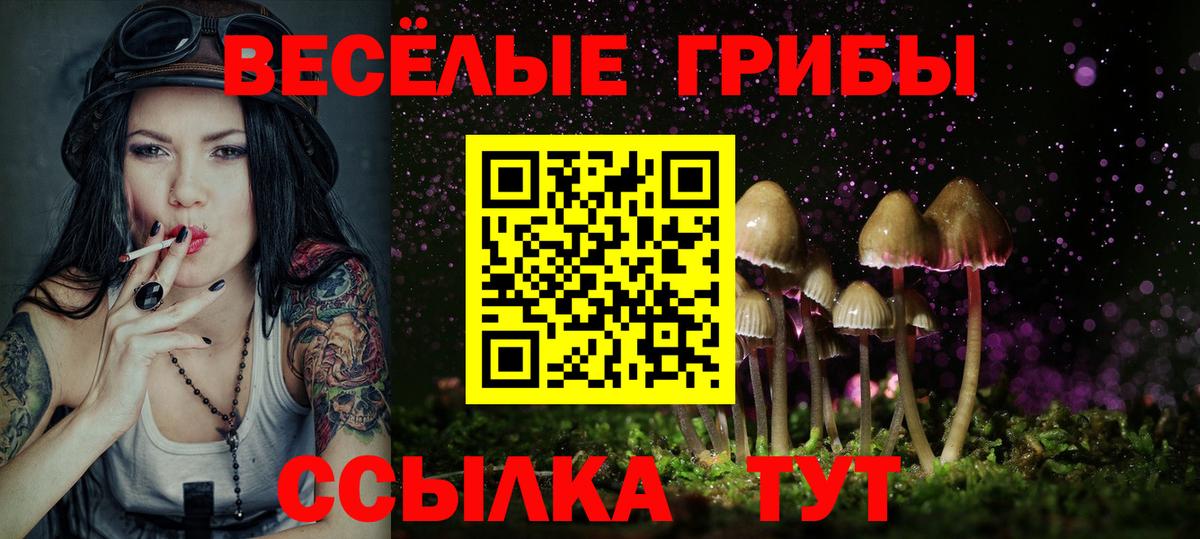 Абинск  хочу наркоту  Вход с VPN  Псилоцибиновые грибы Cubensis 